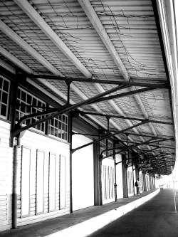 arty shot of roof supports