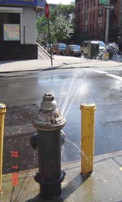 a genuine NY fire hydrant