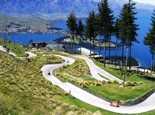 luge advanced track from www.skyline.co.nz