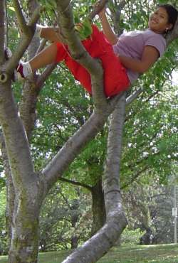 Dany (not very) relaxing in a tree