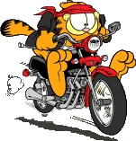 Garfield on a motorcycle