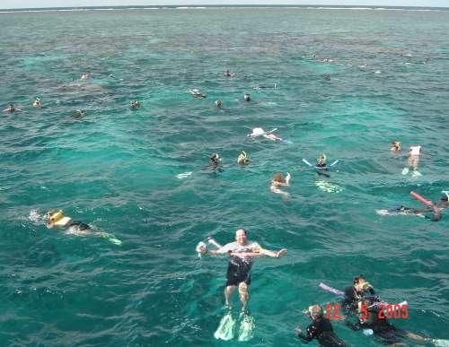 looking for the great barrier reef