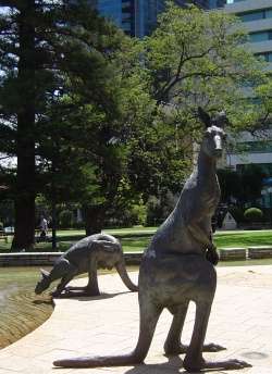 Kangaroo statues