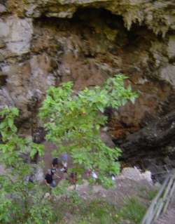 woods near Margaret River - looking down on the group