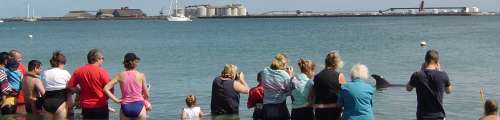 visitors to the Bunbury Dolphin Discovery Centre