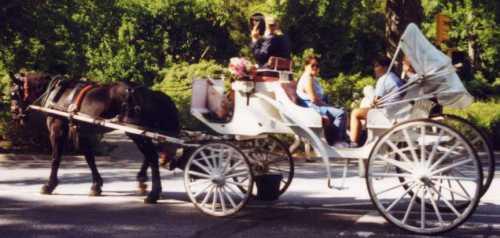 horse drawn carriage rides, (no, we didn't)