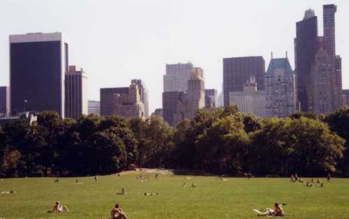 sunbathers, Central Park, south